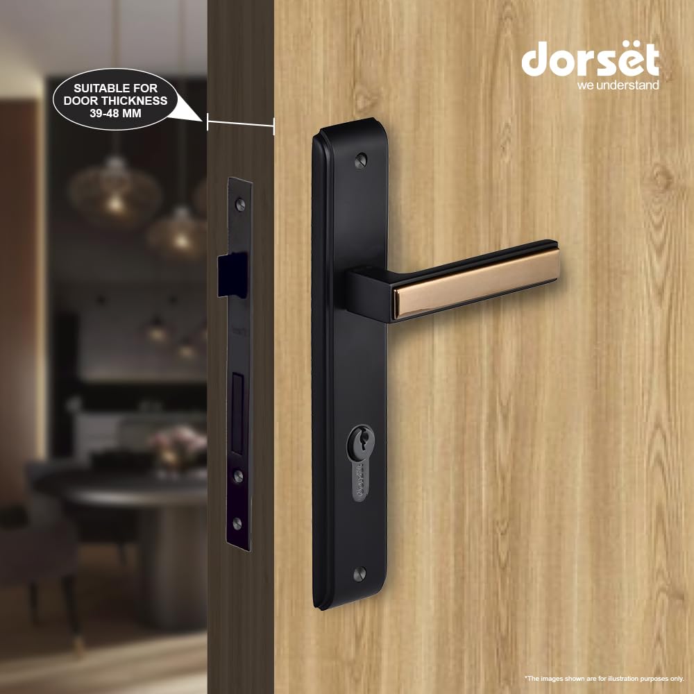 Dorset Kaira X on Plate 10